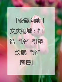 安徽向前丨安庆桐城：打造“锌”引擎 绘就“锌”图景