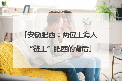 安徽肥西：两位上海人“链上”肥西的背后