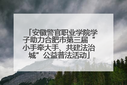 安徽警官职业学院学子助力合肥市第三届“小手牵大手、共建法治城”公益普法活动
