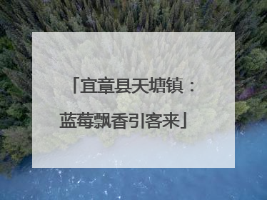 宜章县天塘镇：蓝莓飘香引客来