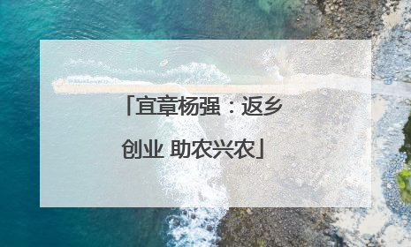 宜章杨强：返乡创业 助农兴农