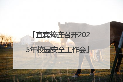 宜宾筠连召开2025年校园安全工作会
