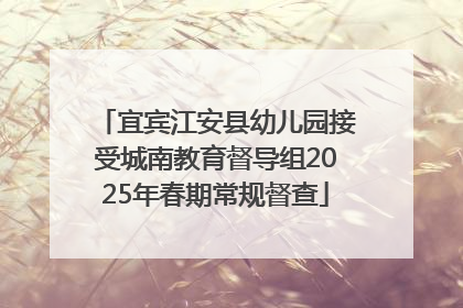 宜宾江安县幼儿园接受城南教育督导组2025年春期常规督查