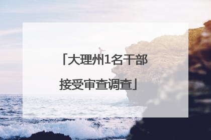 大理州1名干部接受审查调查