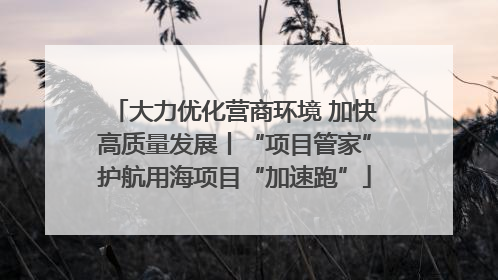 大力优化营商环境 加快高质量发展丨“项目管家”护航用海项目“加速跑”