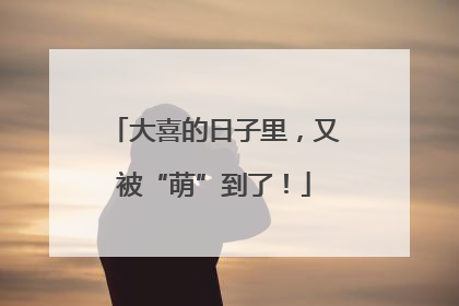 大喜的日子里，又被“萌”到了！
