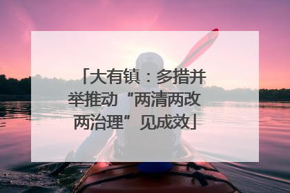 大有镇：多措并举推动“两清两改两治理”见成效