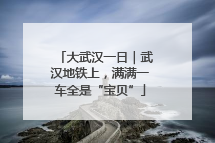 大武汉一日｜武汉地铁上，满满一车全是“宝贝”