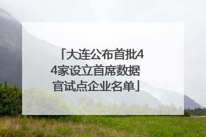 大连公布首批44家设立首席数据官试点企业名单