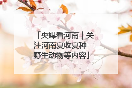 央媒看河南｜关注河南夏收夏种 野生动物等内容