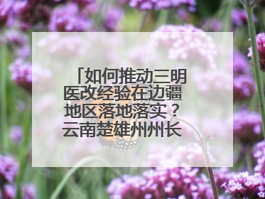 如何推动三明医改经验在边疆地区落地落实？云南楚雄州州长答红星新闻