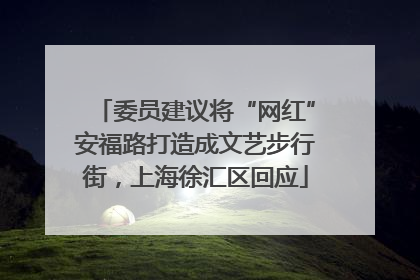 委员建议将“网红”安福路打造成文艺步行街，上海徐汇区回应