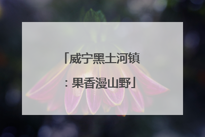 威宁黑土河镇：果香漫山野