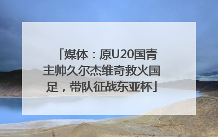 媒体：原U20国青主帅久尔杰维奇救火国足，带队征战东亚杯