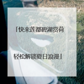 快来莲都碧湖赏荷 轻松解锁夏日浪漫