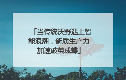 当传统沃野遇上智能浪潮，新质生产力加速破茧成蝶