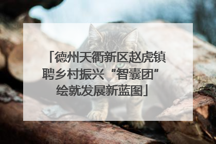 德州天衢新区赵虎镇聘乡村振兴“智囊团” 绘就发展新蓝图