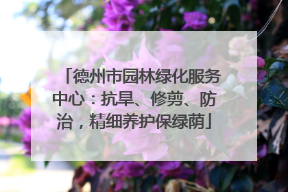 德州市园林绿化服务中心：抗旱、修剪、防治，精细养护保绿荫