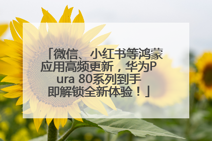 微信、小红书等鸿蒙应用高频更新，华为Pura 80系列到手即解锁全新体验！