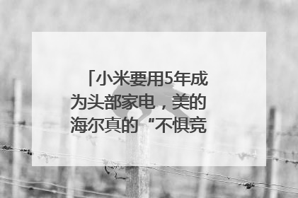 小米要用5年成为头部家电，美的海尔真的“不惧竞争”？｜热财经