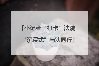 小记者“打卡”法院 “沉浸式”与法同行