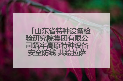 山东省特种设备检验研究院集团有限公司筑牢高原特种设备安全防线 共绘拉萨美好生活画卷