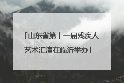 山东省第十一届残疾人艺术汇演在临沂举办