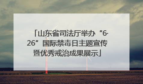 山东省司法厅举办“6·26”国际禁毒日主题宣传暨优秀戒治成果展示