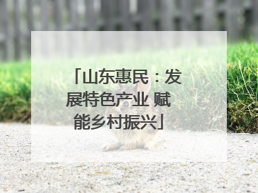 山东惠民：发展特色产业 赋能乡村振兴