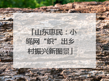 山东惠民：小绳网“织”出乡村振兴新图景