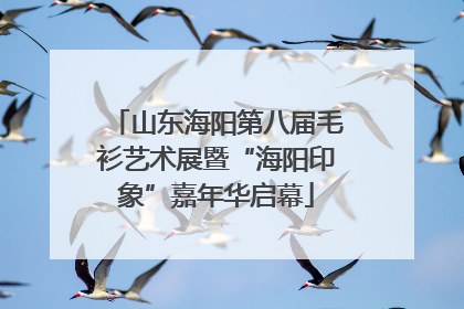 山东海阳第八届毛衫艺术展暨“海阳印象”嘉年华启幕