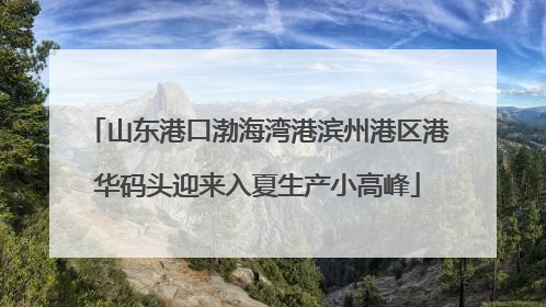 山东港口渤海湾港滨州港区港华码头迎来入夏生产小高峰