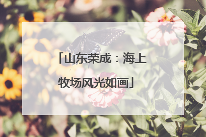 山东荣成：海上牧场风光如画