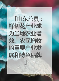 山东莒县：鲜切花产业成为当地农业增效、农民增收的重要产业发展和特色品牌