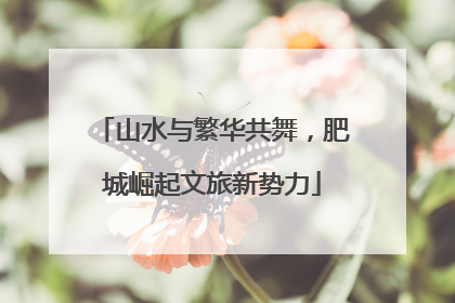 山水与繁华共舞，肥城崛起文旅新势力