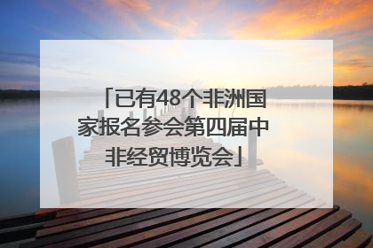 已有48个非洲国家报名参会第四届中非经贸博览会