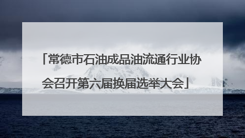 常德市石油成品油流通行业协会召开第六届换届选举大会