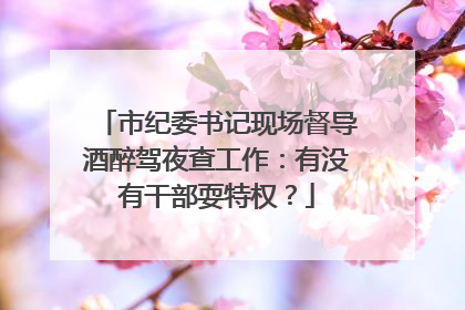 市纪委书记现场督导酒醉驾夜查工作：有没有干部耍特权？
