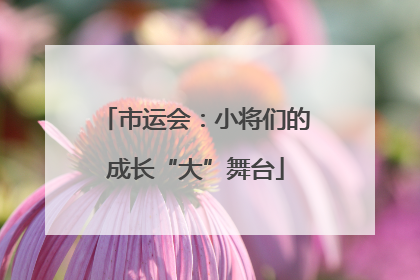 市运会：小将们的成长“大”舞台