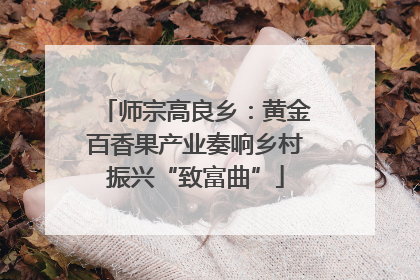师宗高良乡：黄金百香果产业奏响乡村振兴“致富曲”