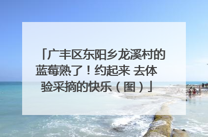 广丰区东阳乡龙溪村的蓝莓熟了！约起来 去体验采摘的快乐（图）