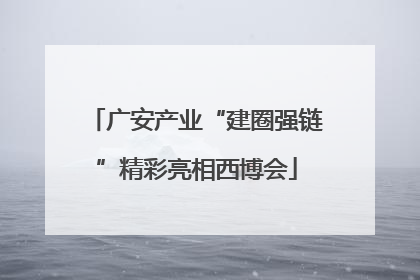 广安产业“建圈强链”精彩亮相西博会