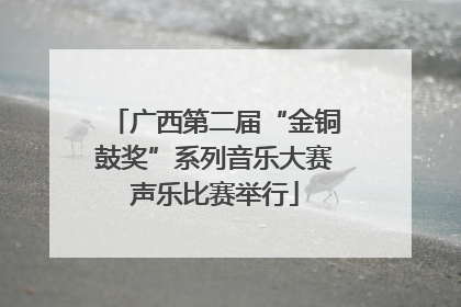 广西第二届“金铜鼓奖”系列音乐大赛声乐比赛举行