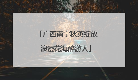 广西南宁秋英绽放 浪漫花海醉游人