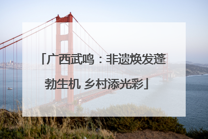 广西武鸣：非遗焕发蓬勃生机 乡村添光彩