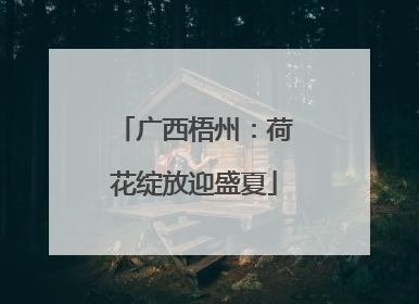 广西梧州：荷花绽放迎盛夏