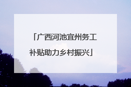 广西河池宜州务工补贴助力乡村振兴