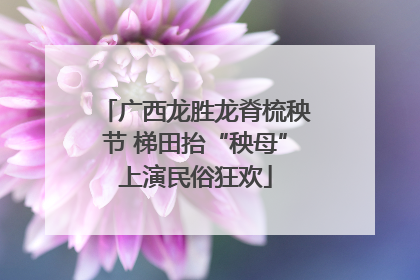 广西龙胜龙脊梳秧节 梯田抬“秧母”上演民俗狂欢