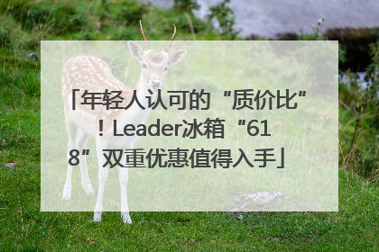 年轻人认可的“质价比”！Leader冰箱“618”双重优惠值得入手