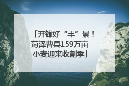 开镰好“丰”景！菏泽曹县159万亩小麦迎来收割季